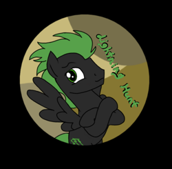 Size: 568x556 | Tagged: safe, artist:lightning-hunt, imported from derpibooru, oc, oc only, oc:lightning hunt, pegasus, pony, solo