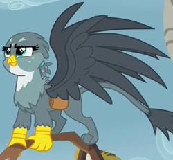 Size: 816x755 | Tagged: safe, imported from derpibooru, screencap, gabby, griffon, the fault in our cutie marks, female, solo