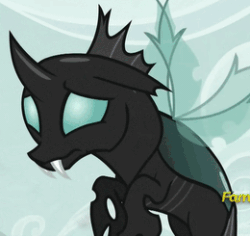 Size: 260x245 | Tagged: safe, imported from derpibooru, screencap, thorax, changeling, a canterlot wedding, the times they are a changeling, animated, cropped, discovery family logo, flying, gif, male, sad, solo