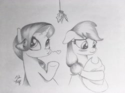 Size: 4032x3022 | Tagged: safe, artist:theasce, imported from derpibooru, applejack, rarity, absurd resolution, blushing, female, heart, holly, holly mistaken for mistletoe, lesbian, monochrome, rarijack, shipping