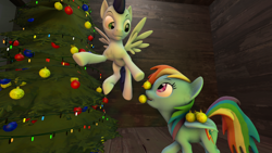 Size: 1024x576 | Tagged: safe, artist:johnnyhorse, imported from derpibooru, rainbow dash, soarin', pony, 3d, christmas tree, male, shipping, soarindash, straight, tree