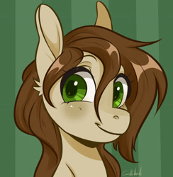 Size: 2747x2814 | Tagged: safe, artist:corelle-vairel, artist:renuve, imported from derpibooru, oc, oc only, oc:marry honey, earth pony, pony, adorable face, bust, cute, female, mare, solo, ych result