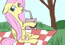 Size: 2560x1792 | Tagged: artist needed, safe, imported from derpibooru, fluttershy, pegasus, pony, my little brony risovach, drinking, drinking straw, floppy ears, flutterjuice, juice, picnic blanket, solo