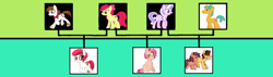 Size: 1964x557 | Tagged: safe, artist:alphamonouryuuken, artist:kianamai, imported from derpibooru, apple bloom, diamond tiara, pipsqueak, snails, oc, oc:api apple, oc:peach fuzz, oc:rowdy ruff, oc:spice, pony, unicorn, kilalaverse, kilalaverse ii, bisexual, cutie mark, diamondbloom, diamondsnail, family tree, female, filly, lesbian, next generation, offspring, parent:apple bloom, parent:diamond tiara, parent:pipsqueak, parent:snails, parents:diamondbloom, parents:diamondsnail, parents:pipbloom, pipbloom, polygamy, ribbon, shipping, the cmc's cutie marks