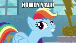 Size: 600x337 | Tagged: source needed, safe, edit, edited screencap, imported from derpibooru, screencap, rainbow dash, pony, newbie dash, caption, female, forthright filly, howdy, image macro, meme, memeful.com, solo, spongebob squarepants, squirrel jokes, window, y'all