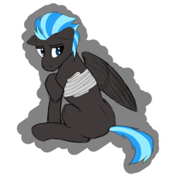 Size: 854x849 | Tagged: safe, artist:wcnimbus, imported from derpibooru, oc, oc only, oc:nimbus, pegasus, pony, amputee, bandage, colored sketch, male, missing limb, missing wing, sad, solo, stallion