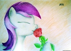 Size: 2789x2000 | Tagged: safe, artist:ponystarpony, imported from derpibooru, roseluck, pony, female, flower, rose, solo, traditional art