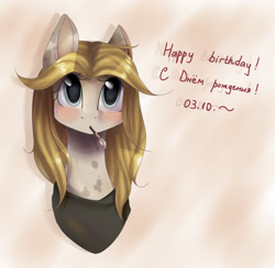 Size: 2280x2224 | Tagged: safe, artist:dreamydoll96, imported from derpibooru, oc, oc only, oc:aneko, pony, happy birthday, russian, solo