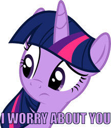 Size: 5211x6000 | Tagged: safe, artist:slb94, imported from derpibooru, twilight sparkle, alicorn, pony, absurd resolution, caption, female, image macro, meme, reaction image, solo, twilight sparkle (alicorn)