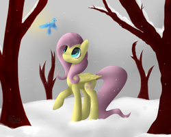 Size: 1280x1024 | Tagged: safe, artist:keisaa, imported from derpibooru, fluttershy, bird, female, looking at something, looking up, raised hoof, snow, snowfall, solo, winter
