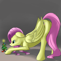 Size: 1280x1280 | Tagged: safe, artist:vell221, imported from derpibooru, fluttershy, pony, butt, christmas tree, face down ass up, female, looking at something, looking down, plot, solo, tree