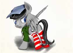 Size: 3500x2522 | Tagged: safe, artist:chopsticks, imported from derpibooru, oc, oc only, oc:chopsticks, pegasus, pony, annoyed, blue eyes, clothes, digital art, digital painting, hat, jacket, male, ponysona, socks, solo, stallion, striped socks