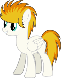 Size: 2630x3314 | Tagged: safe, artist:cejs94, imported from derpibooru, oc, oc only, oc:kaos meleer, pegasus, pony, 2017 community collab, derpibooru community collaboration, simple background, solo, transparent background, vector