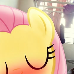 Size: 900x900 | Tagged: safe, artist:shadyhorseman, edit, imported from derpibooru, fluttershy, human, pony, bed, blushing, blushing profusely, cute, eyes closed, female, human on pony snuggling, interspecies, irl, kissing, lying on top of someone, mare, offscreen character, photo, ponies in real life, pov, shyabetes, smooch, snuggling, solo