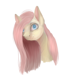 Size: 1600x1800 | Tagged: safe, artist:maria-fly, imported from derpibooru, fluttershy, pony, bust, female, portrait, simple background, solo, white background