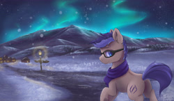 Size: 5700x3300 | Tagged: safe, artist:ardail, imported from derpibooru, oc, oc only, pony, absurd resolution, aurora borealis, butt, clothes, commission, fluffy, glasses, lamppost, night sky, plot, scarf, snow, snowfall, solo, stars, village, winter