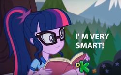 Size: 968x604 | Tagged: safe, edit, edited screencap, imported from derpibooru, screencap, sci-twi, twilight sparkle, equestria girls, legend of everfree, book, captain obvious, caption, discovery kids, female, glasses, image macro, meme, solo, text