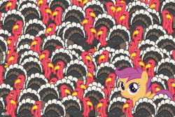 Size: 2700x1800 | Tagged: safe, artist:dm29, imported from derpibooru, scootaloo, pony, turkey, female, one of these things is not like the others, scootachicken, solo, wallpaper