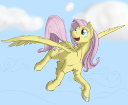 Size: 900x739 | Tagged: safe, artist:geomancing, artist:infrasonicman, edit, imported from derpibooru, fluttershy, female, flying, solo