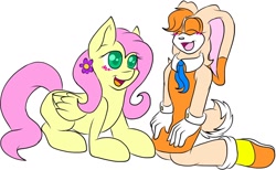 Size: 1862x1144 | Tagged: safe, artist:sparkle-the-cat-13, imported from derpibooru, fluttershy, cream the rabbit, crossover, sonic the hedgehog (series)