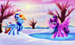 Size: 1519x923 | Tagged: safe, artist:loveless-nights, imported from derpibooru, rainbow dash, twilight sparkle, alicorn, pony, cap, clothes, female, frozen, hat, mare, pond, scarf, snow, snowfall, snowflake, tree, twilight sparkle (alicorn), winter