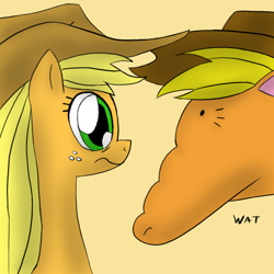 Size: 720x720 | Tagged: safe, artist:toajahli, imported from derpibooru, applejack, pony, apeljak, dolan, duo, gooby, wat