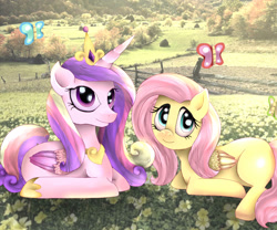 Size: 1200x1000 | Tagged: safe, artist:mariogamesandenemies, imported from derpibooru, fluttershy, princess cadance, butterfly