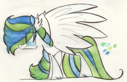 Size: 523x340 | Tagged: safe, artist:fizzbuzz3456, imported from derpibooru, oc, oc only, pegasus, pony, solo