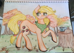 Size: 2854x2039 | Tagged: safe, artist:thegreycheetah11, imported from derpibooru, applejack, irl, photo, solo, traditional art