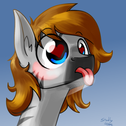 Size: 1000x1000 | Tagged: safe, artist:studlyhorn, imported from derpibooru, oc, oc only, oc:kouprisa, earth pony, pony, zebra, :p, against glass, blushing, cute, drool, fourth wall, glass, heart eyes, licking, male, portrait, solo, tongue out, wingding eyes