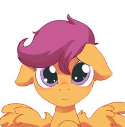 Size: 273x278 | Tagged: safe, artist:risu-nya, imported from derpibooru, scootaloo, pegasus, pony, animated, blushing, cute, cutealoo, female, filly, floppy ears, hnnng, looking at you, sad, sadorable, simple background, solo, white background
