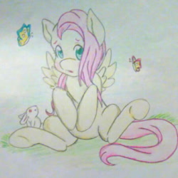 Size: 700x700 | Tagged: safe, artist:creamyfoxhole, imported from derpibooru, fluttershy, butterfly, rabbit, color correction, cropped, female, looking at you, needs more jpeg, open mouth, sitting, solo, spread wings, traditional art