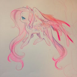 Size: 640x640 | Tagged: safe, artist:costly, imported from derpibooru, fluttershy, pegasus, pony, female, solo, traditional art