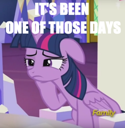 Size: 720x736 | Tagged: safe, imported from derpibooru, twilight sparkle, alicorn, pony, what about discord?, discovery family logo, female, frown, image macro, mare, meme, tired, twilight sparkle (alicorn), unamused