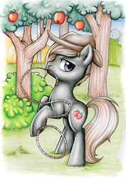 Size: 900x1269 | Tagged: safe, artist:pingwinowa, imported from derpibooru, oc, oc only, oc:appleberry, earth pony, pony, hat, lasso, solo