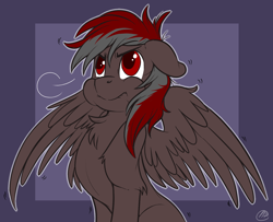 Size: 1232x1000 | Tagged: dead source, safe, artist:meggchan, imported from derpibooru, oc, oc only, oc:soren nightsky, pegasus, pony, chest fluff, floppy ears, male, puffy cheeks, solo, spread wings, stallion