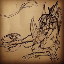 Size: 640x640 | Tagged: safe, artist:sunny way, imported from derpibooru, oc, oc only, oc:sunny way, griffon, cute, feather, instagram, paws, rcf community, sketch, solo, traditional art