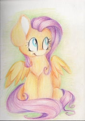 Size: 1983x2800 | Tagged: safe, artist:cutepencilcase, imported from derpibooru, fluttershy, female, sitting, smiling, solo, spread wings, traditional art