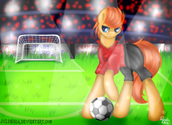 Size: 1023x744 | Tagged: safe, artist:julunis14, imported from derpibooru, oc, oc only, oc:ember, oc:ember (appleberryember), earth pony, fire pony, pony, football, solo