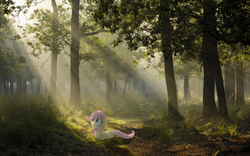 Size: 1920x1200 | Tagged: safe, artist:bryal, imported from derpibooru, fluttershy, crepuscular rays, cute, female, filly, forest, frown, irl, looking up, photo, ponies in real life, prone, solo