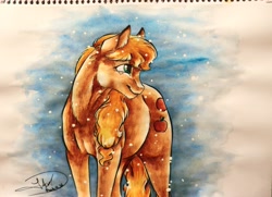 Size: 4236x3069 | Tagged: safe, artist:artmadebyred, imported from derpibooru, applejack, chest fluff, female, fluffy, snow, snowfall, solo, traditional art, watercolor painting