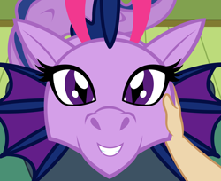 Size: 3356x2744 | Tagged: safe, artist:badumsquish, derpibooru exclusive, imported from derpibooru, part of a set, twilight sparkle, human, siren, couch, cute, female, hand, lap, looking at you, my pet siren, offscreen character, petting, pov, sirenified, smiling, species swap, spell gone wrong, story included, tail wag, true form, twiabetes