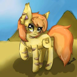 Size: 1000x1000 | Tagged: safe, artist:danika duvall, imported from derpibooru, oc, oc only, oc:sand veil, earth pony, pony, desert, solo, yellow eyes