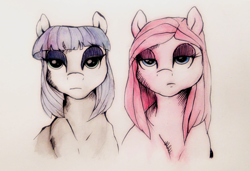 Size: 1140x781 | Tagged: safe, artist:buttersprinkle, imported from derpibooru, maud pie, pinkie pie, duo, pinkamena diane pie, traditional art, unamused