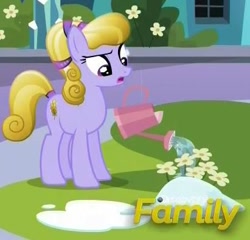 Size: 411x395 | Tagged: safe, imported from derpibooru, screencap, amber waves, crystal pony, pony, the crystalling, background pony, confused, cropped, discovery family logo, female, flower, frown, ice, mare, open mouth, raised eyebrow, snow, solo, watering can, wide eyes
