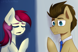 Size: 1600x1066 | Tagged: safe, artist:littlescout666, imported from derpibooru, doctor whooves, roseluck, time turner, pony, crying, doctor who, doctorrose, female, male, shipping, stallion, straight, the doctor