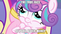 Size: 888x499 | Tagged: safe, imported from derpibooru, screencap, princess flurry heart, the crystalling, exploitable meme, face of mercy, image macro, meme, memegenerator