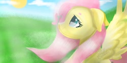Size: 2000x1000 | Tagged: safe, artist:carolancho, imported from derpibooru, fluttershy, butterfly, bust, female, floppy ears, insect on nose, looking at something, looking up, profile, solo, spread wings