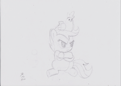 Size: 800x566 | Tagged: safe, artist:noxdrachen, imported from derpibooru, scootaloo, chicken, crossed arms, female, monochrome, sketch, solo, traditional art