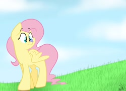 Size: 1052x760 | Tagged: safe, artist:befishproductions, imported from derpibooru, fluttershy, butterfly, female, signature, solo